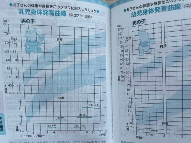 母子手帳の中の乳児身体発達曲線のページの写真