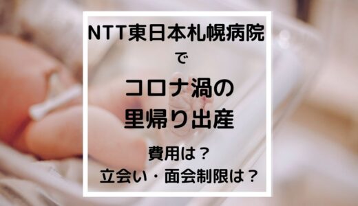 NTT東日本札幌病院でコロナ渦の里帰り出産｜費用は？立会い・面会制限は？メリット/デメリットも